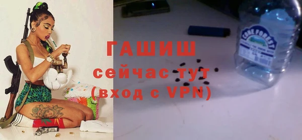 прущие крисы Белокуриха