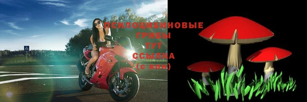 шишки Баксан