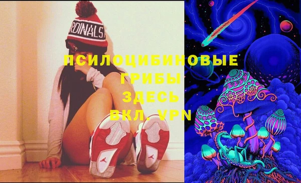 мдпв Тихвин