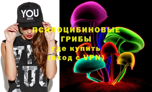 прущие крисы Белокуриха