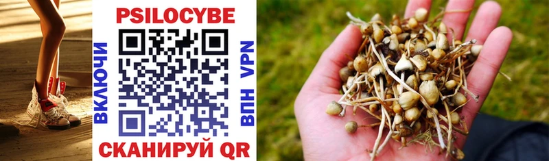 Псилоцибиновые грибы Magic Shrooms  Карталы 
